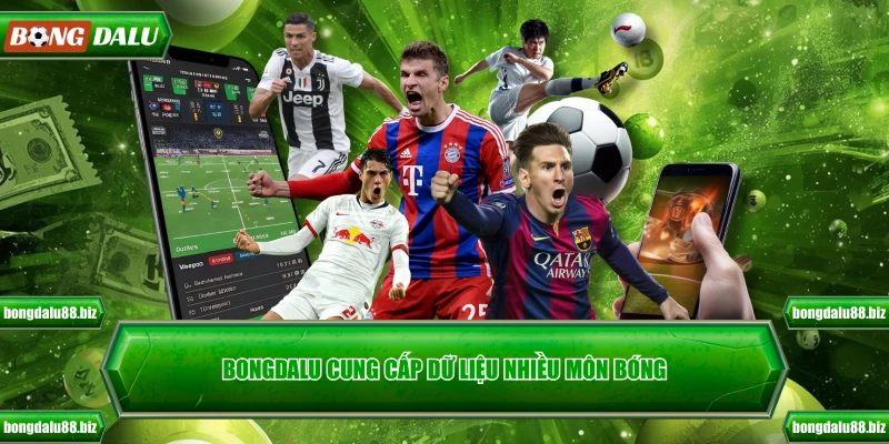 Bongdalu cung cấp dữ liệu nhiều môn bóng
