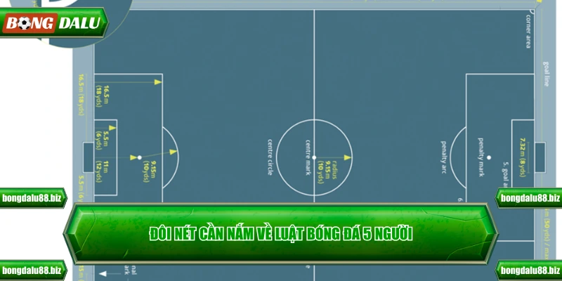 Đôi nét cần nắm về luật bóng đá 5 người