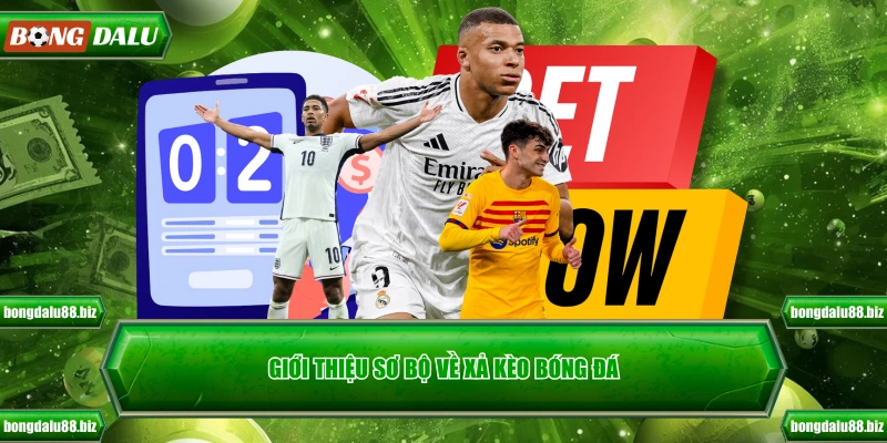 Giới thiệu sơ bộ về xả kèo bóng đá